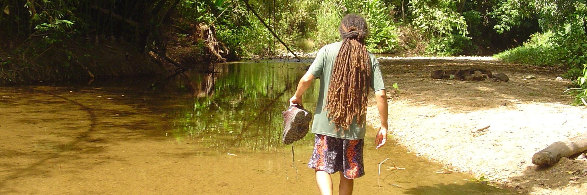 Genis Miranda banner