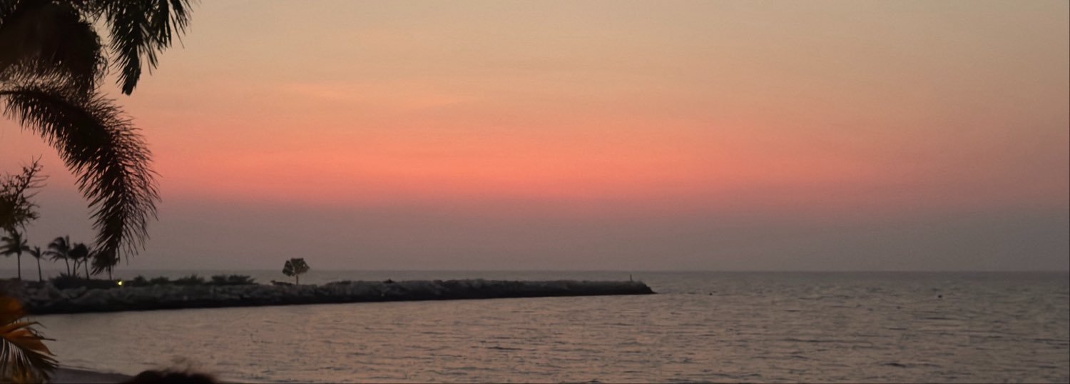 Cometadice's profile banner image