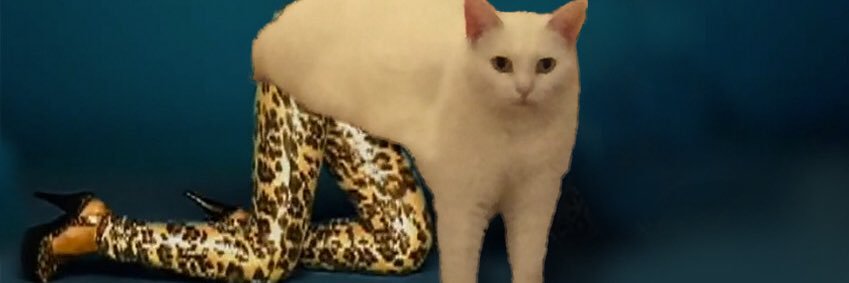 Malmbergh's profile banner image