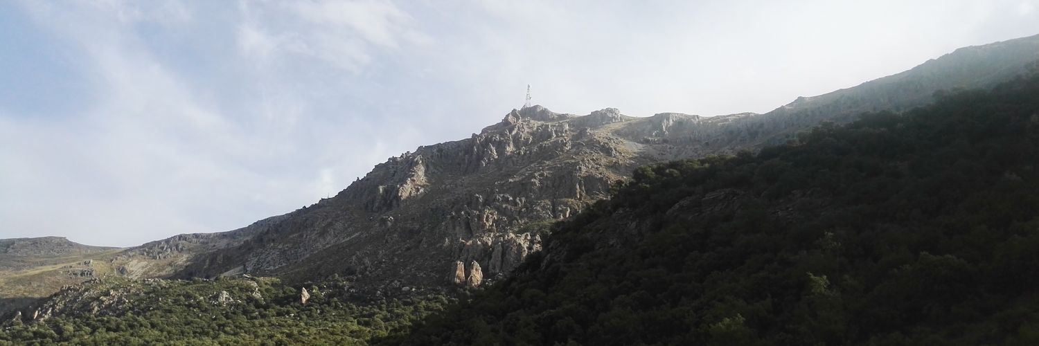 amfoche's profile banner image