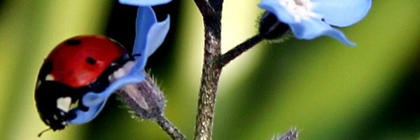 LEBridgstock Profile Banner
