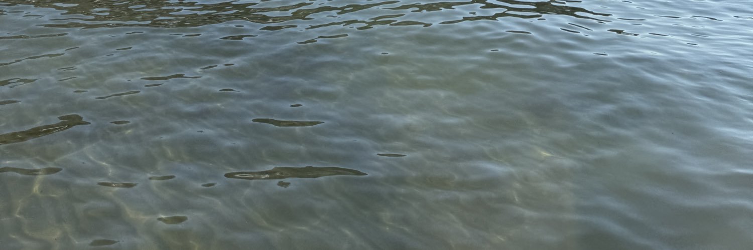 saandrabeltran's profile banner image