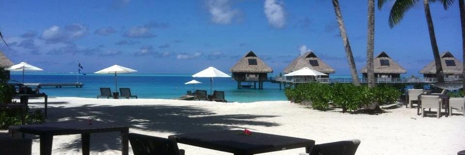 Mindy Cancila banner