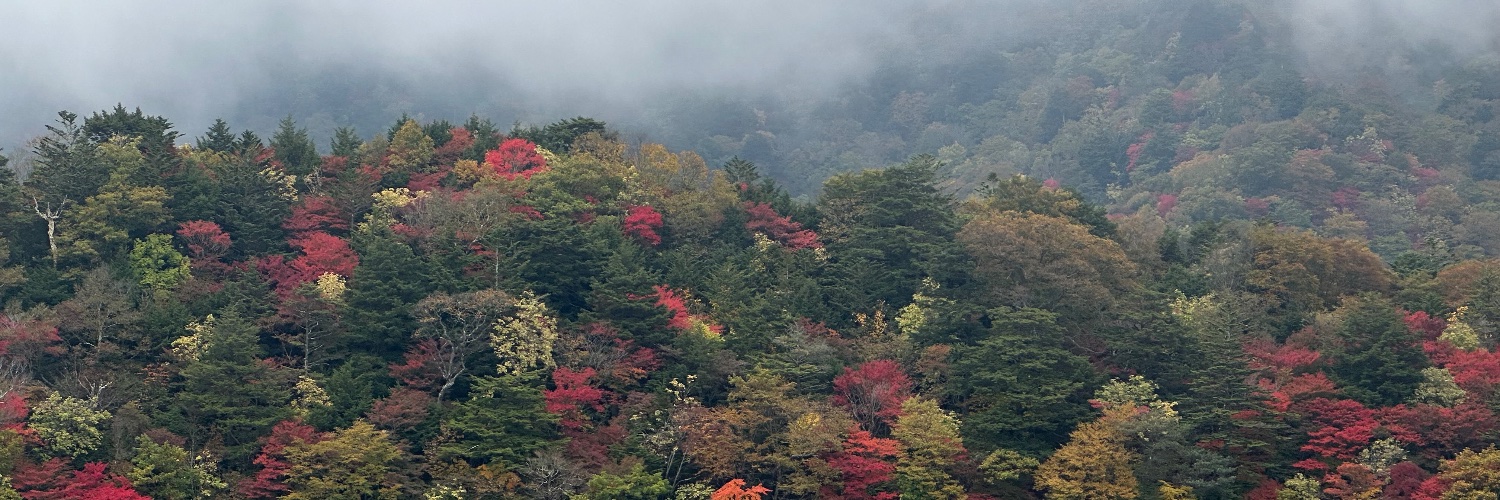 hya_sa's profile banner image