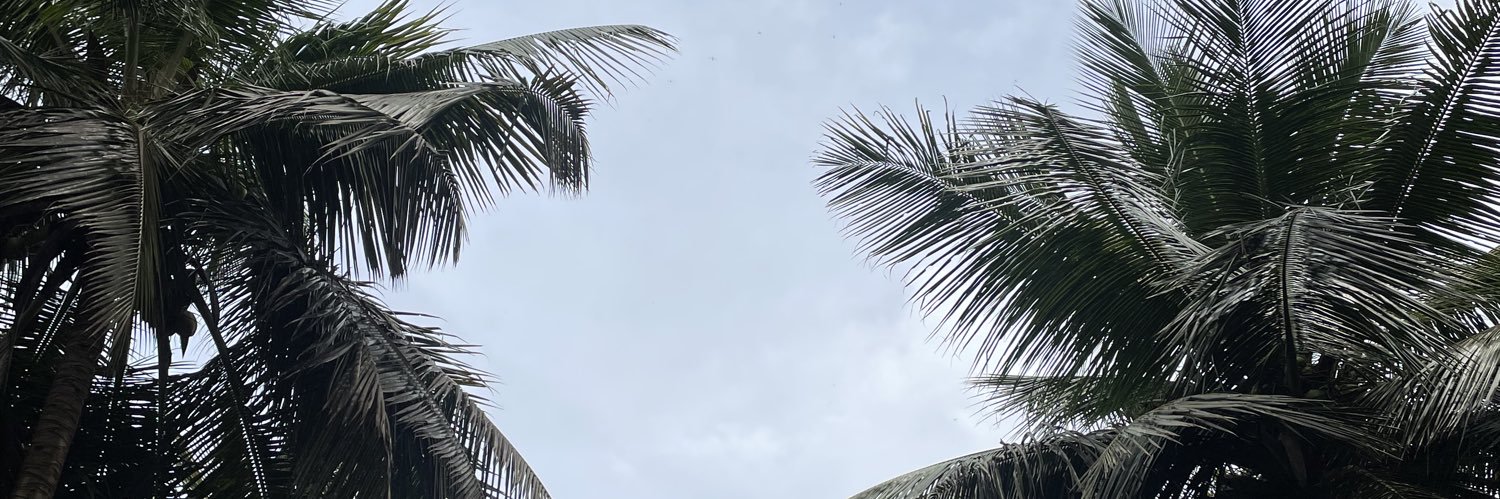 Vikram Bhaskar banner