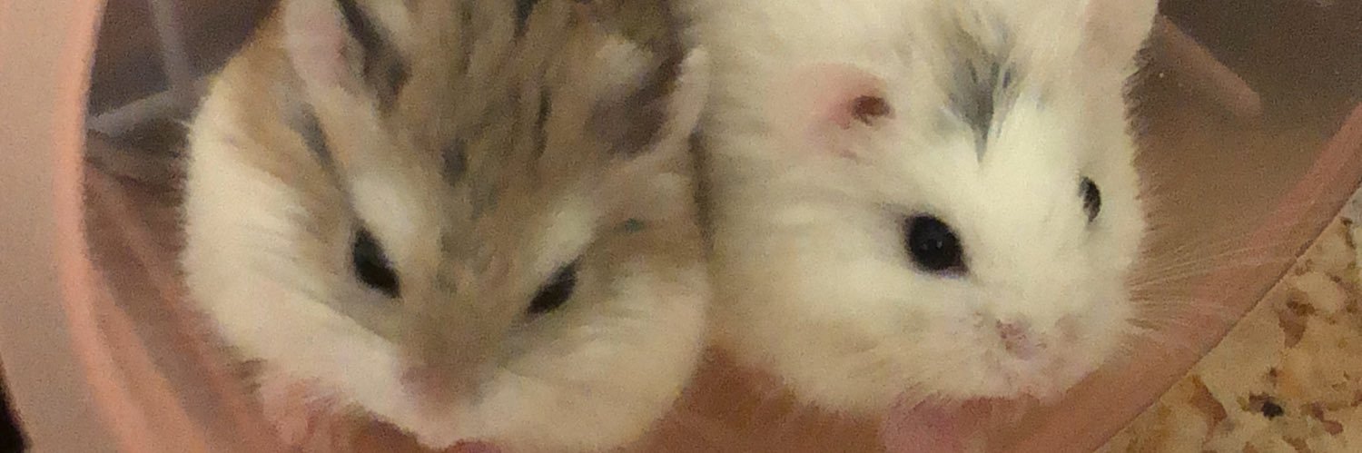 Chamomile57's profile banner image