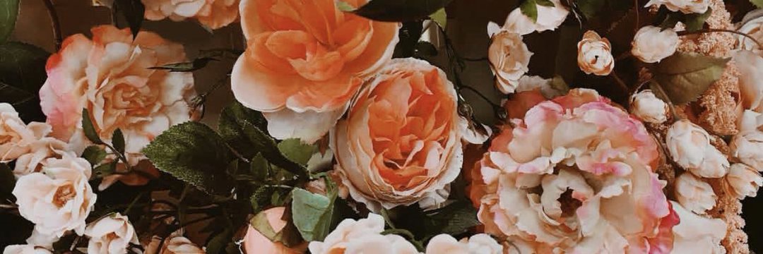 CamiChoquetL's profile banner image