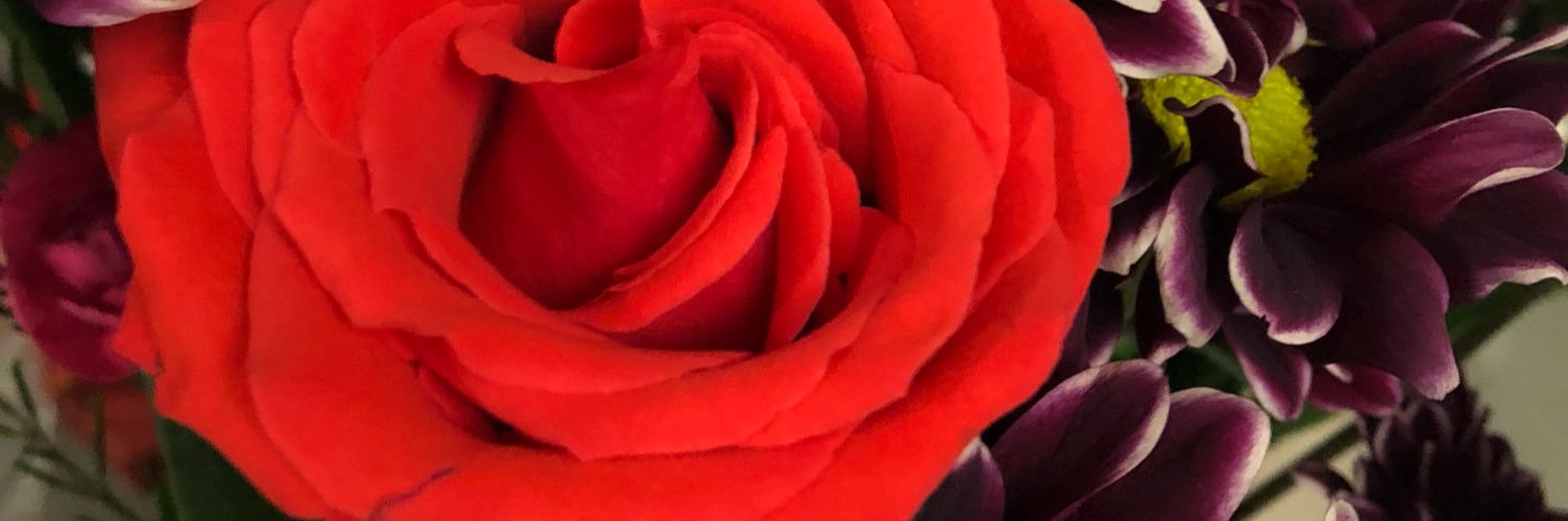 RuFasoldt's profile banner image
