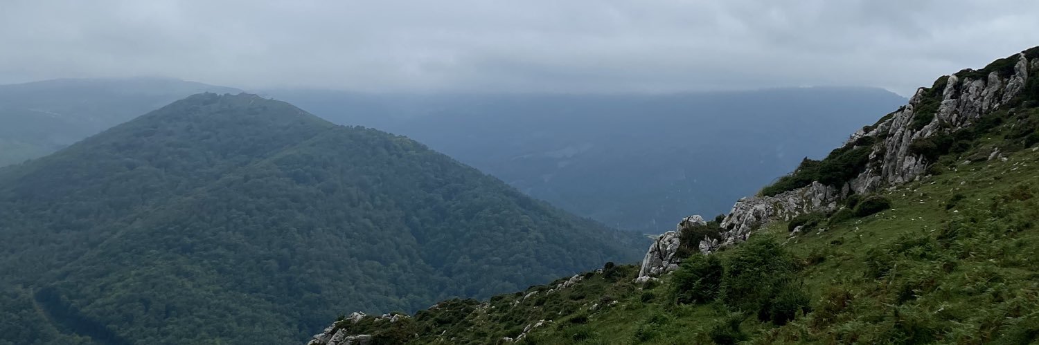 monnimonii's profile banner image