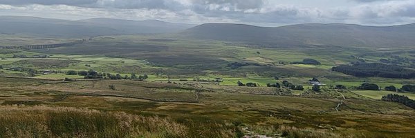 BassyBoy Profile Banner