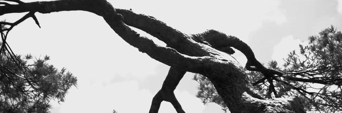 sonofmalick banner