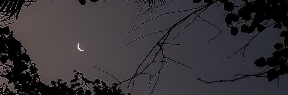 00nmyown's profile banner image
