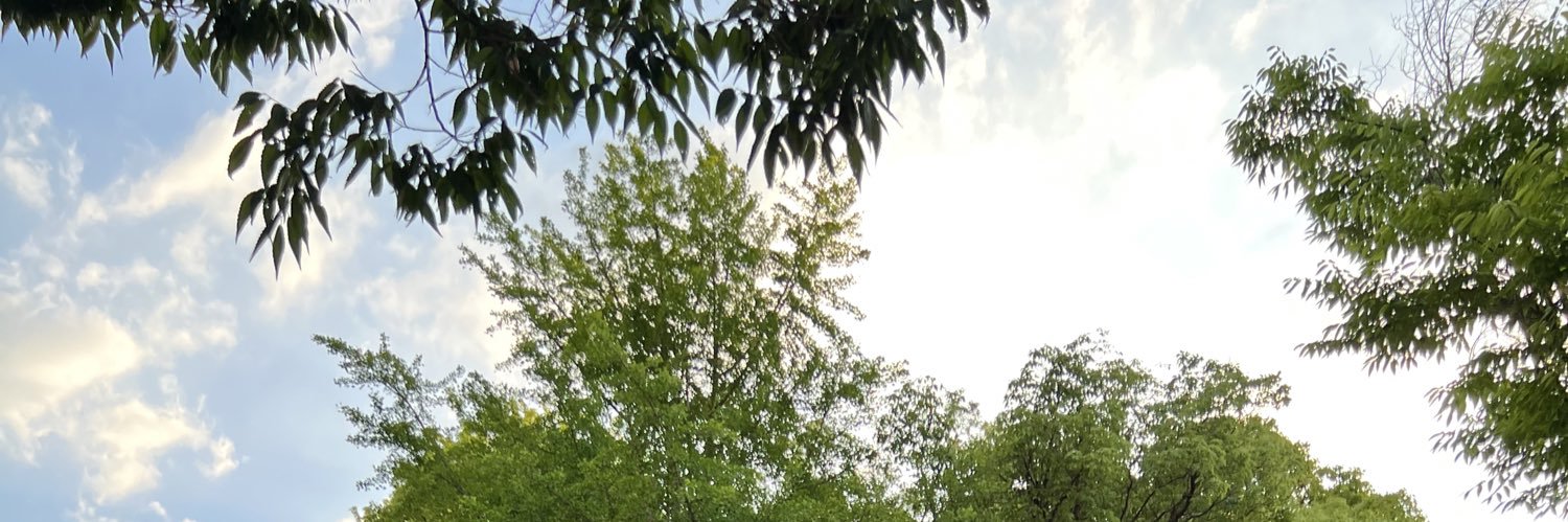 honmapple's profile banner image