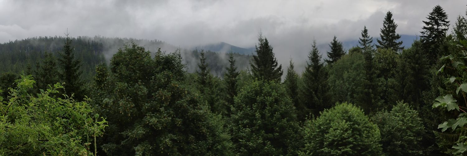 Cyclimseur's profile banner image