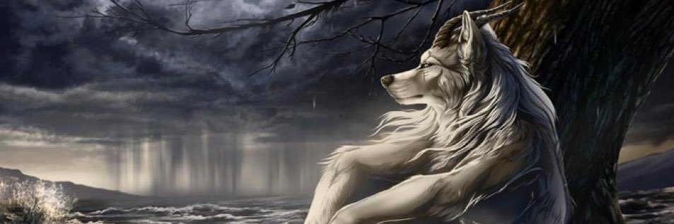 Sporting Mentality banner