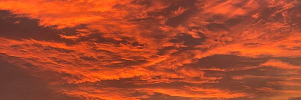 GeBoosha Profile Banner