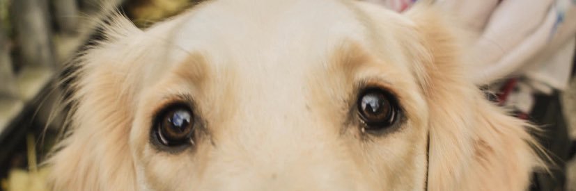 alba93's profile banner image