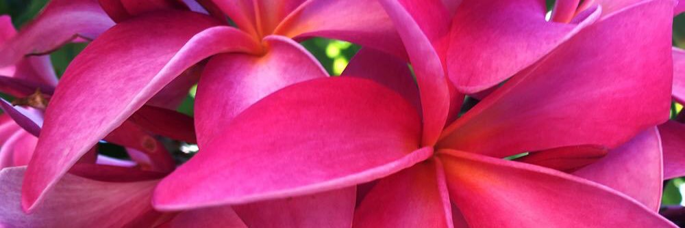d_realTravel's profile banner image