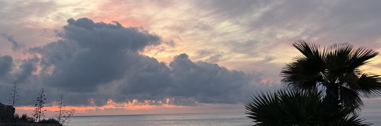 ArayaaD's profile banner image