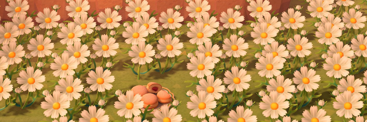 🌼 banner