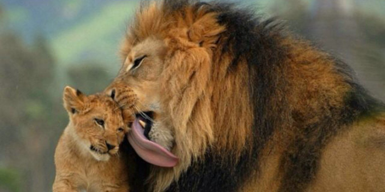 Charles Volker banner