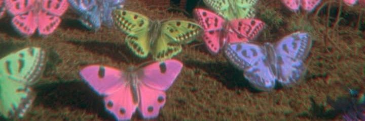 SulimCass's profile banner image