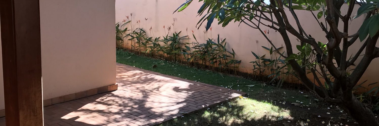 Esterlune's profile banner image