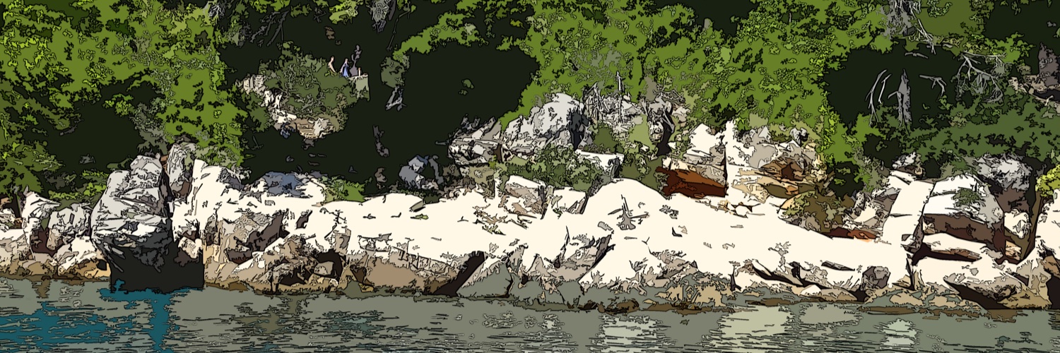richvivv's profile banner image