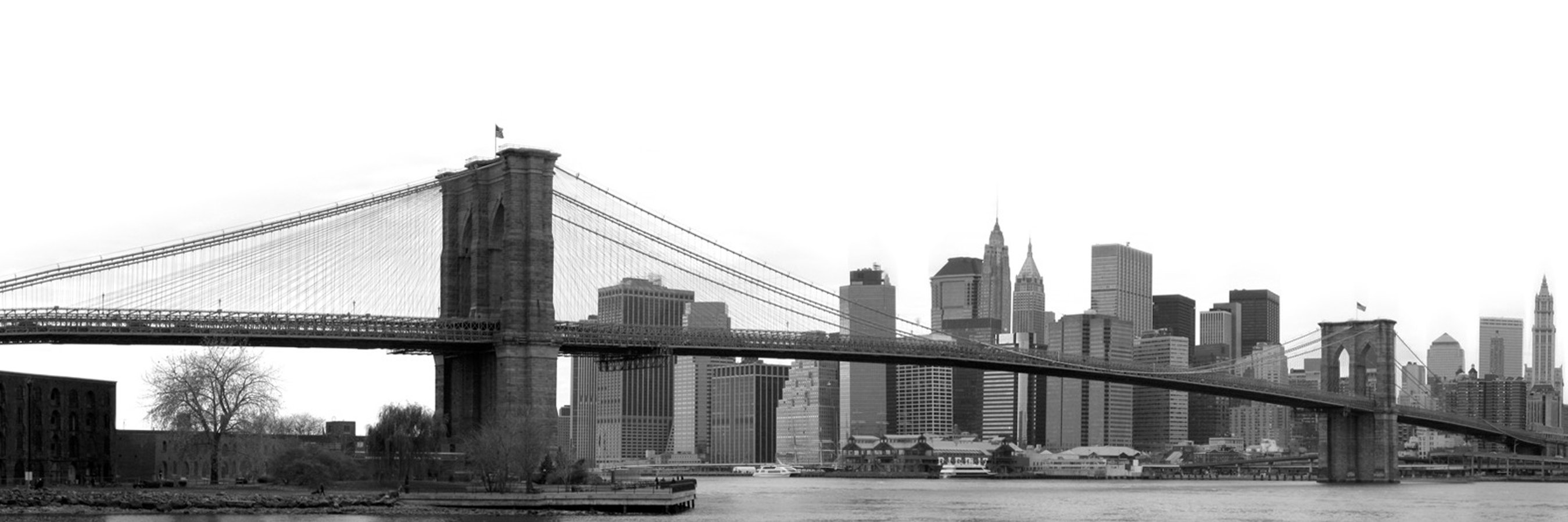 contrary_moods's profile banner image