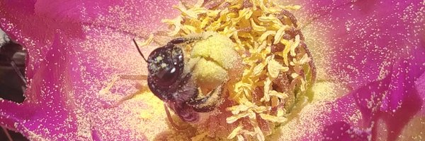 Queen_Compost Profile Banner