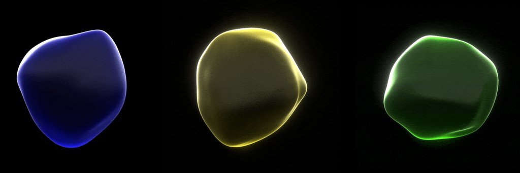 triprotocol's profile banner image