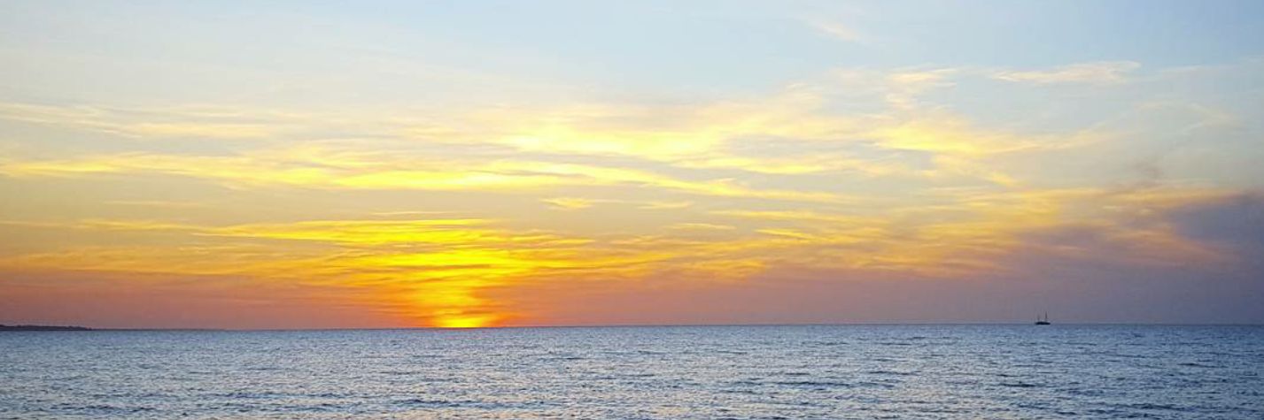 Muir_Alexandra's profile banner image