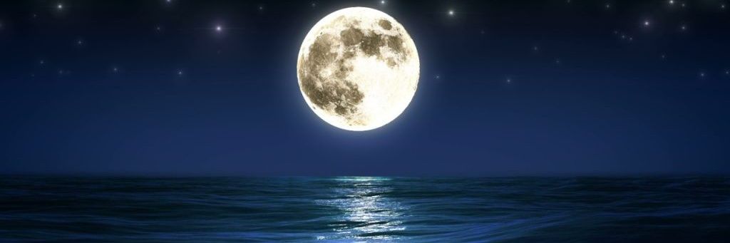 MZR_1301's profile banner image
