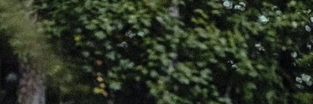 Kevin Staton's banner