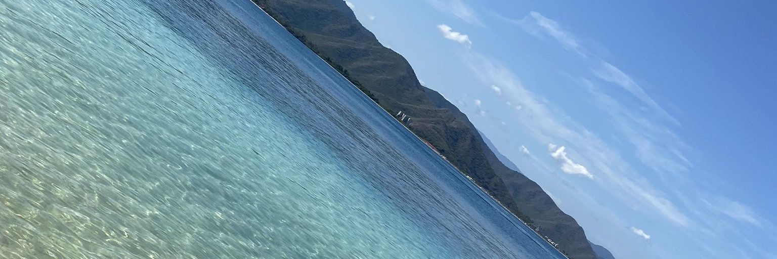 DJ🌐 banner