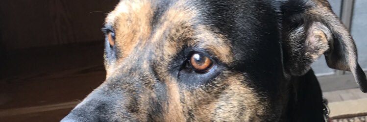 CandiEasterly93's profile banner image