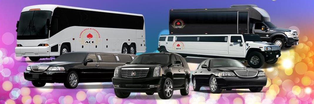 acepartybus's profile banner image