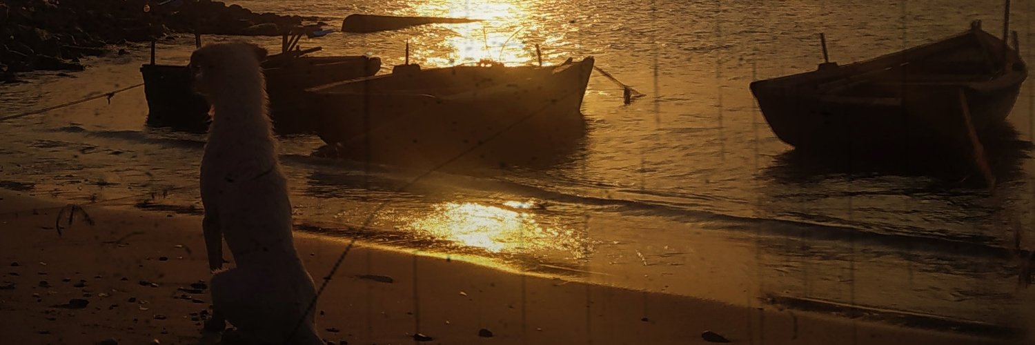 ppeluo's profile banner image