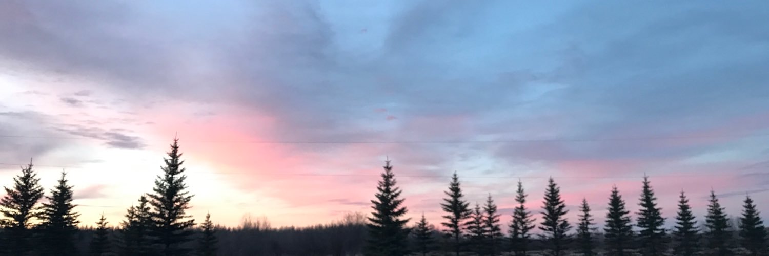 Anna_digirolamo's profile banner image