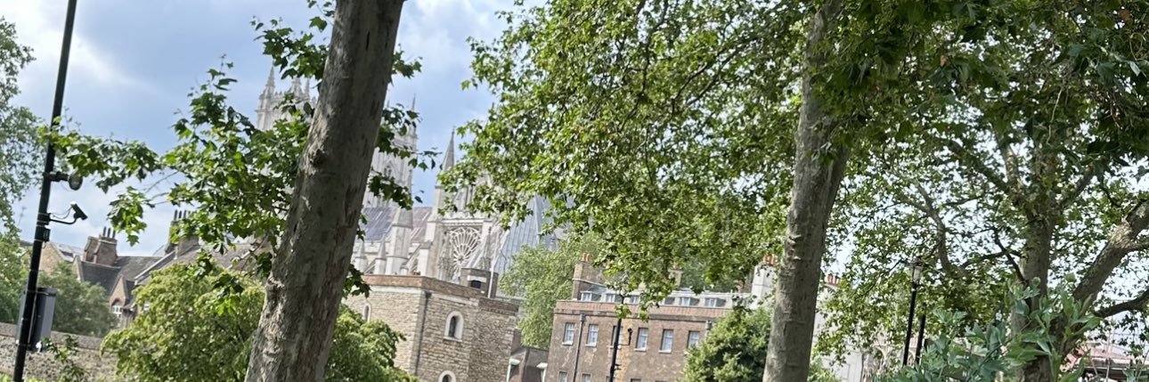 بلسم بنت نورة. banner