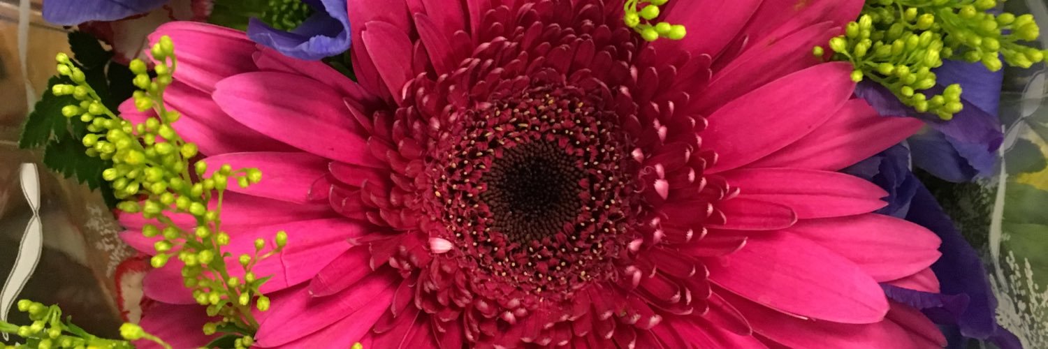 lflorist's profile banner image