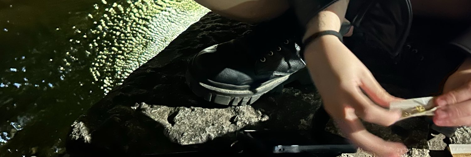 95beeel's profile banner image