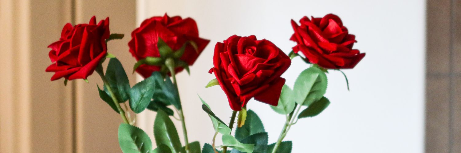 Miss_DKN's profile banner image