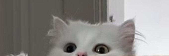 𝙐𝙢𝙤𝙧𝙚 banner
