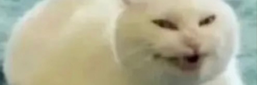 cpwen's profile banner image