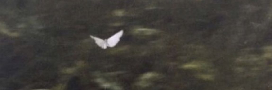 Jay banner