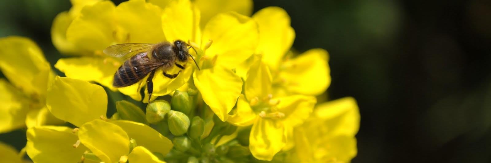 Errin Willenborg banner