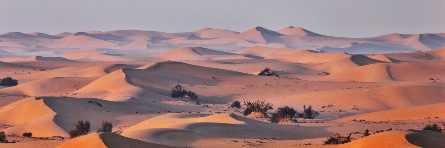 The Sand Dune's banner