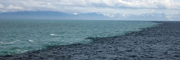 HMAbushukair Profile Banner