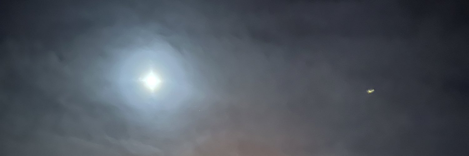 おべんとう🍱 banner